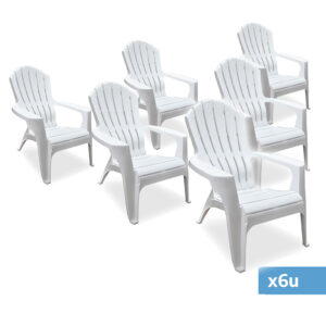 SILLON COUNTRY X 6U - Imagen 1