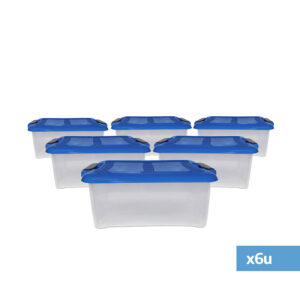 COL BOX T 11,5 LTS. X 6U - Imagen 1